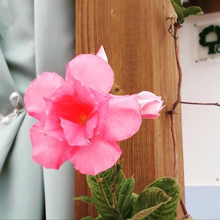 Monte Da Xara Villa Aljezur Ngoại thất bức ảnh